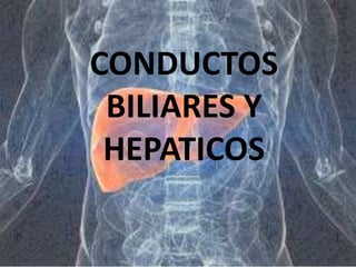CONDUCTOS
BILIARES Y
HEPATICOS
 