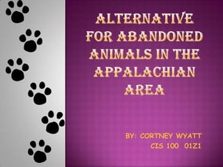 ALTERNATIVE FOR ABANDONED ANIMALS IN THE APPALACHIAN AREA BY: CORTNEY WYATT CIS 100  01Z1 