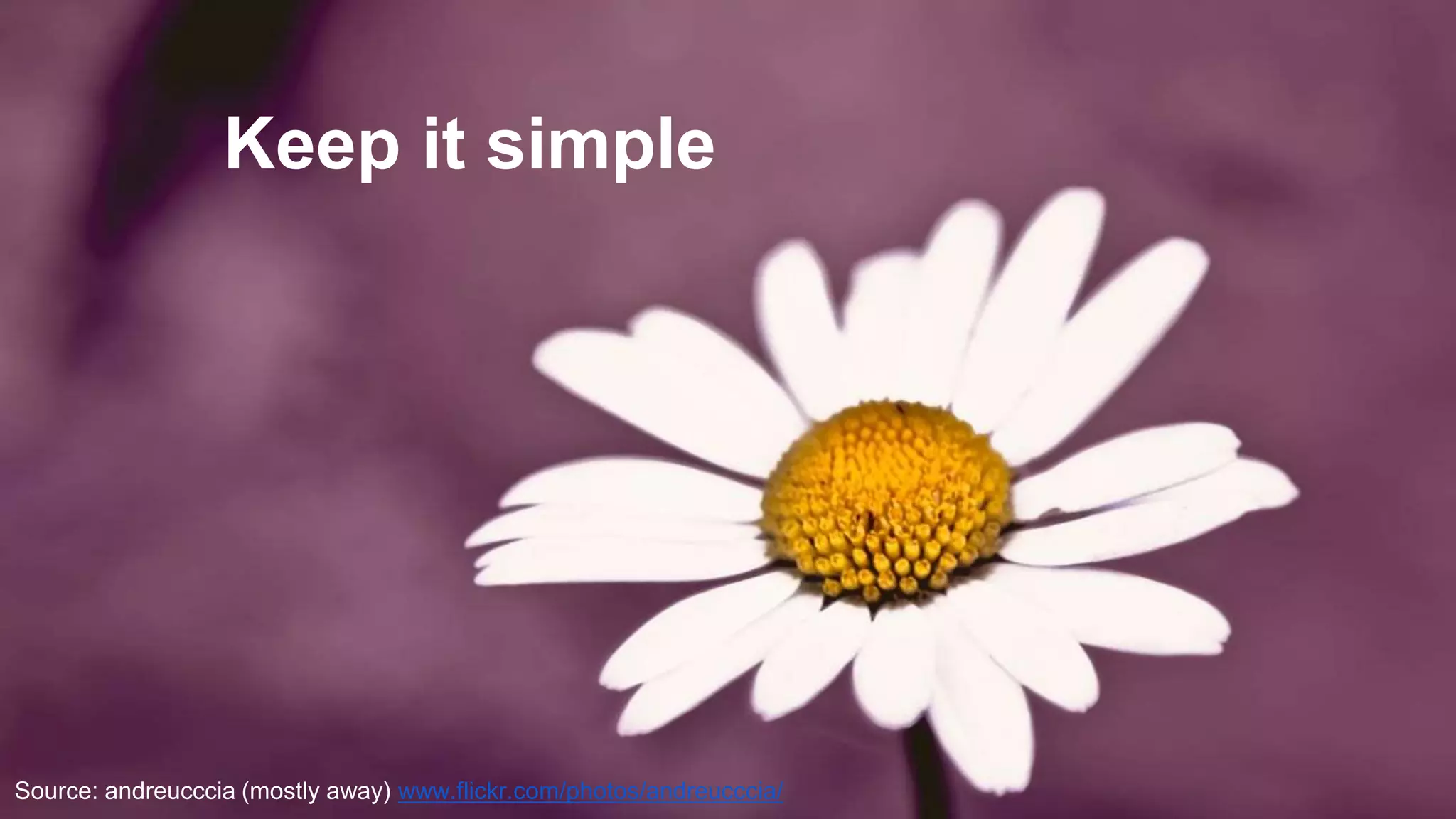 Cis 141 top ten slide tips PPT