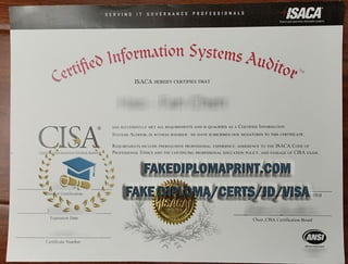 CISA certificate.pdf