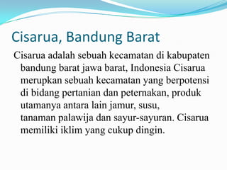Cisarua, Bandung Barat
Cisarua adalah sebuah kecamatan di kabupaten
 bandung barat jawa barat, Indonesia Cisarua
 merupkan sebuah kecamatan yang berpotensi
 di bidang pertanian dan peternakan, produk
 utamanya antara lain jamur, susu,
 tanaman palawija dan sayur-sayuran. Cisarua
 memiliki iklim yang cukup dingin.
 