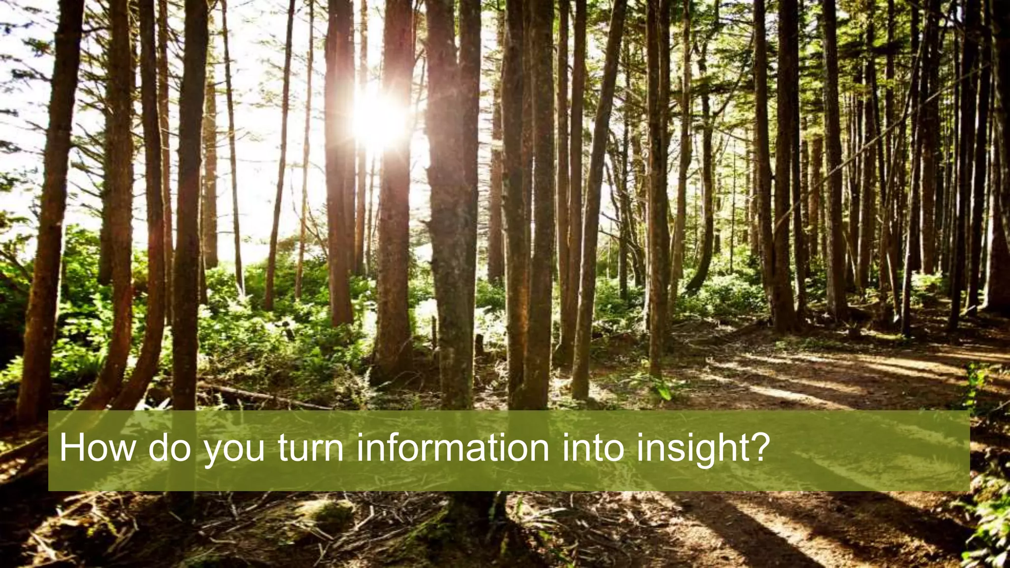 How do you turn information into insight?
 