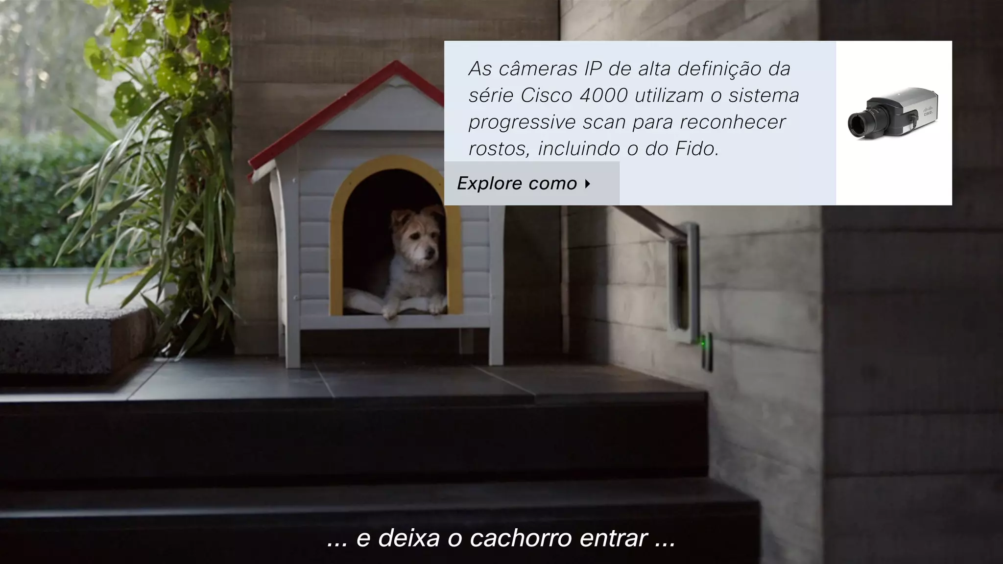... e deixa o cachorro entrar ...
As câmeras IP de alta definição da
série Cisco 4000 utilizam o sistema
progressive scan para reconhecer
rostos, incluindo o do Fido.
Explore como ‣
 