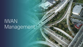 IWAN
Management
 