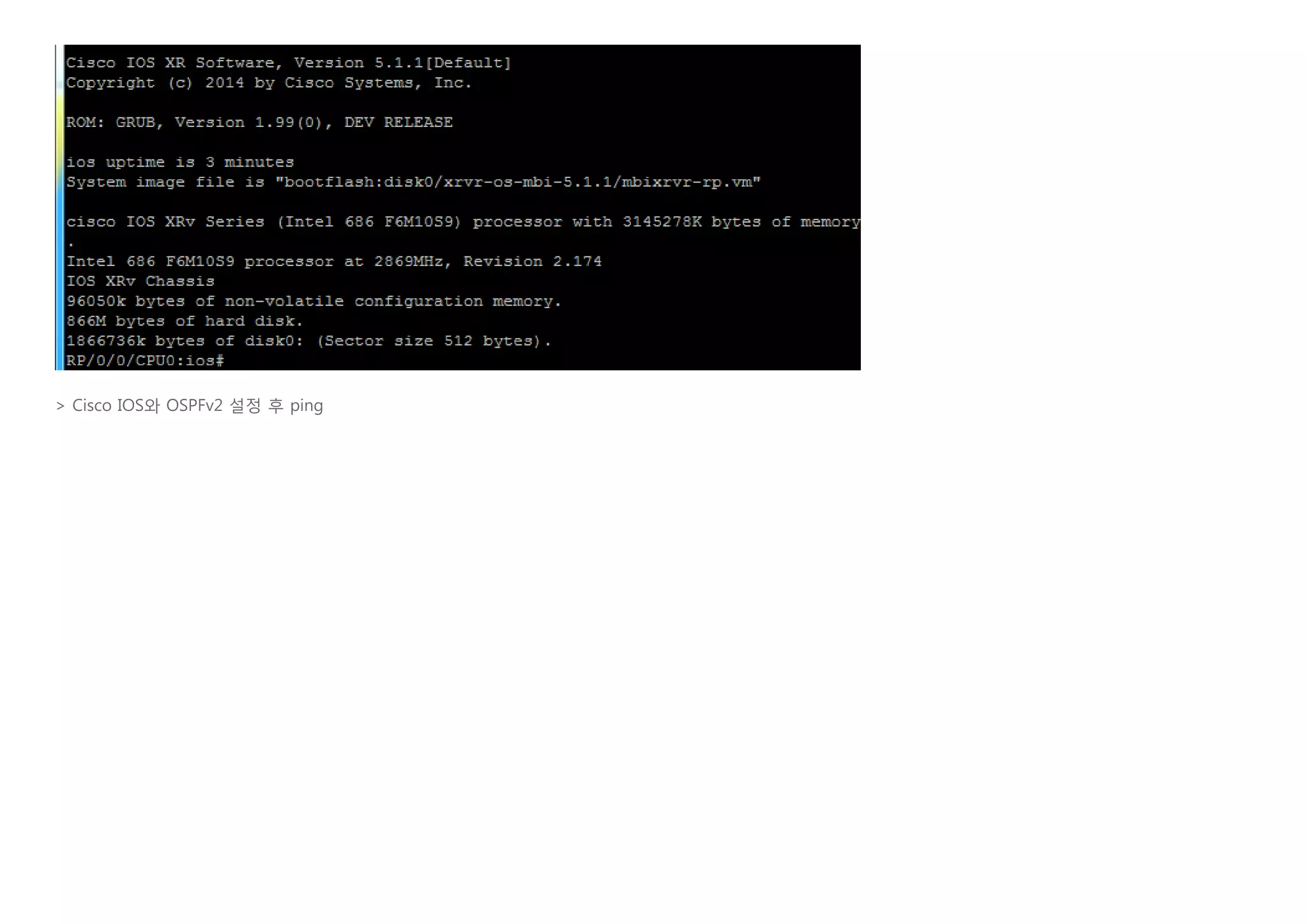    
> Cisco IOS와 OSPFv2 설정 후 ping
 