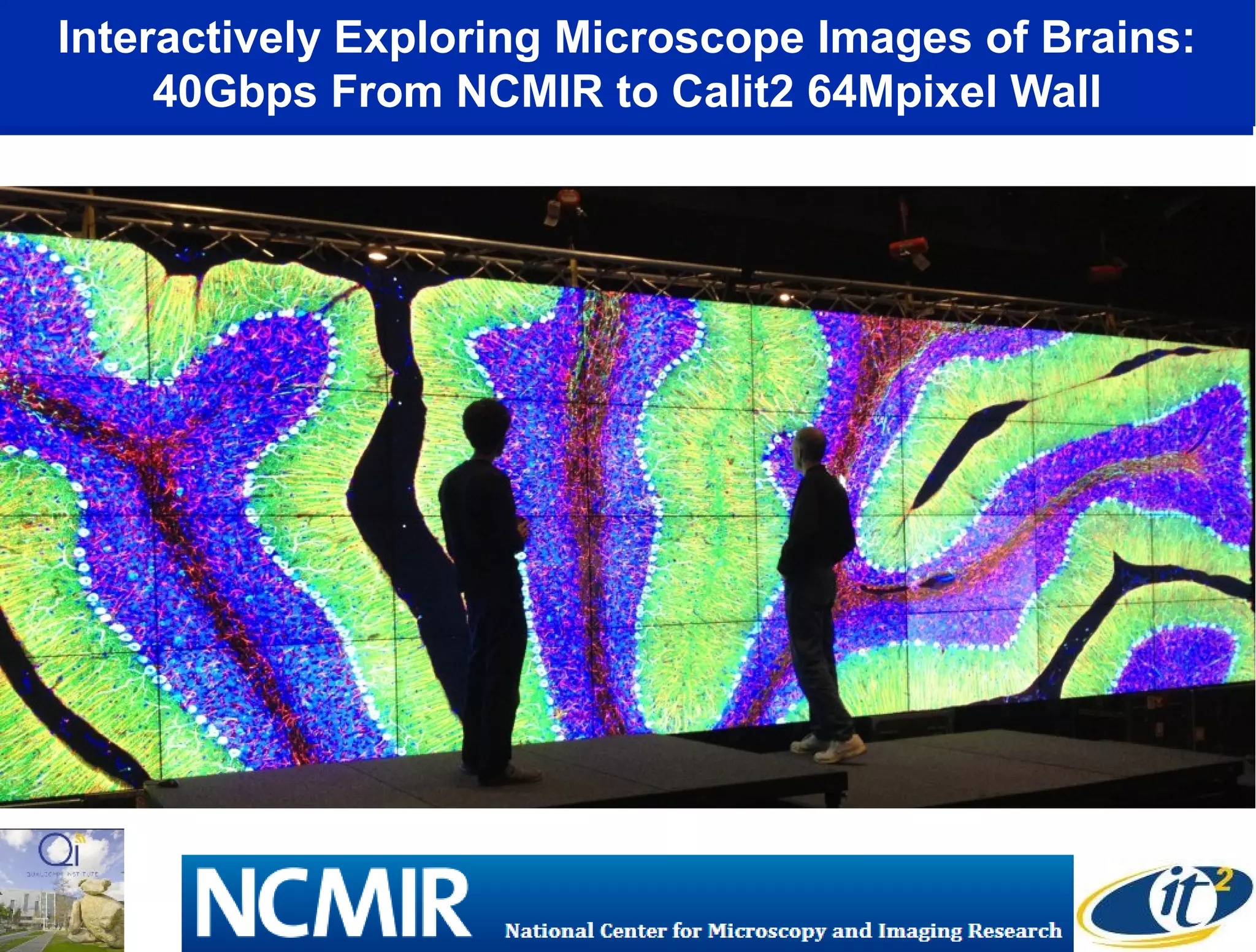 Interactively Exploring Microscope Images of Brains:
40Gbps From NCMIR to Calit2 64Mpixel Wall
 