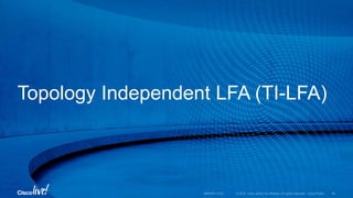 Topology Independent LFA (TI-LFA)
 