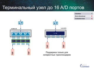 Терминальный узел до 16 A/D портов
Colorless
Omni-directional

1x16-COFS

1 x 16

MPO LC

MPO LC

TXP

TXP

TXP

MPO LC

TXP

MPO LC

Поддержка только для
когерентных транспондеров

N

Contention-less

16-WXC-FS

Y

N

 