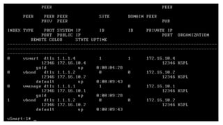 Comprehensive Guide to Cisco SD-WAN Controller Setup and Factory Reset ...