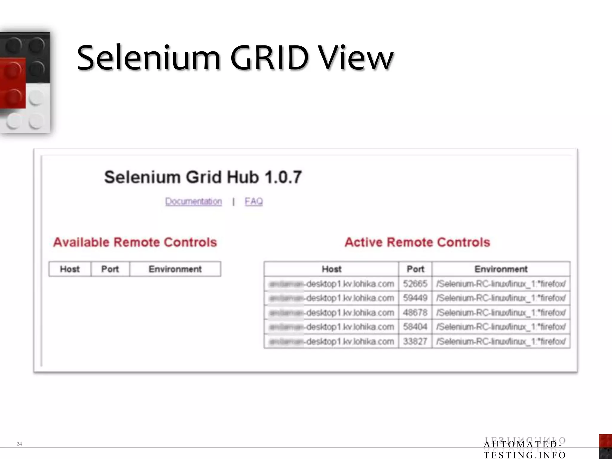 Selenium GRID View24