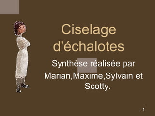 Ciselage 
d'échalotes 
Synthèse réalisée par 
Marian,Maxime,Sylvain et 
1 
Scotty. 
 
