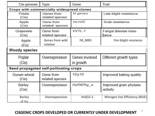 Cisgenesis and its Implications in Crop Improvement- credit seminar ...