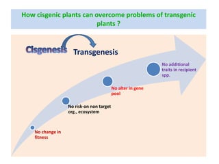 Cisgenics for crop improvement | PDF