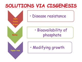 Cisgenics for crop improvement | PPTX