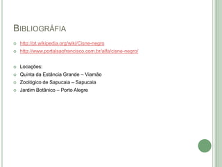 BIBLIOGRÁFIA


http://pt.wikipedia.org/wiki/Cisne-negro



http://www.portalsaofrancisco.com.br/alfa/cisne-negro/



Locações:



Quinta da Estância Grande – Viamão



Zoológico de Sapucaia – Sapucaia



Jardim Botânico – Porto Alegre

 