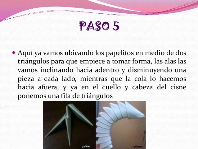 Cisnes
