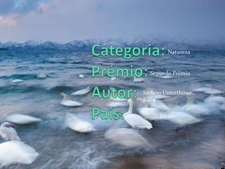 Natureza


  Segundo Prémio


Stefano Unterthiner ,
Itália

      Japão
 