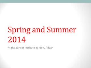 Spring and Summer
2014
At the cancer institute garden, Adyar
 