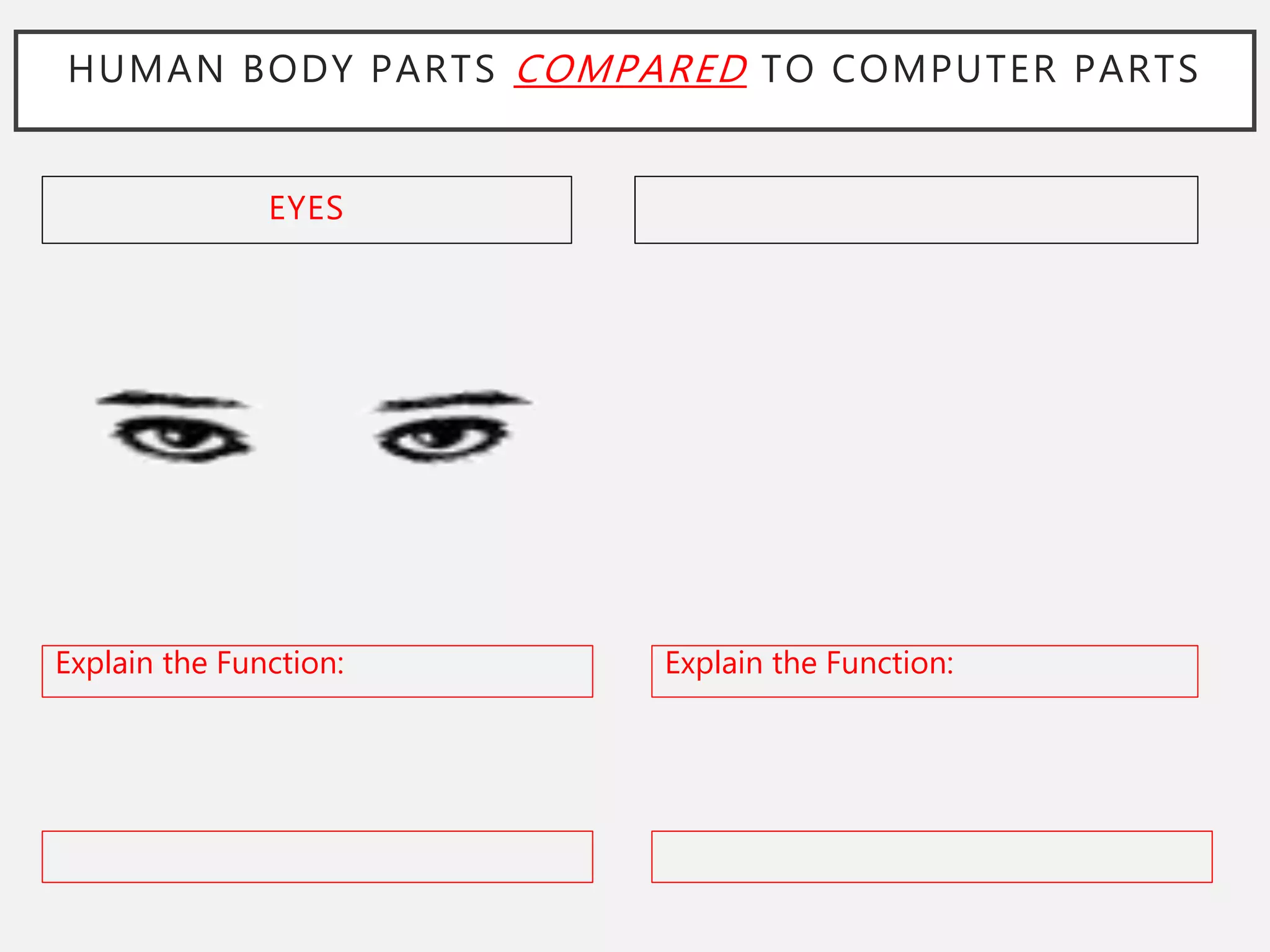 CIS Project - Computer Parts vs. Human Body Parts PowerPoint.pptx