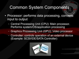 Common System Components
●

Processor: performs data processing, converts
input to output
–

Central Processing Unit (CPU): Main processor.
Performs system/OS/application processing

–

Graphics Processing Unit (GPU): Video processor

–

Controller: controls operation of an external device
(Example: SCSI/IDE/SATA Controller)

 
