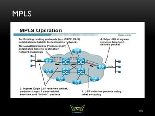MPLS
295
 