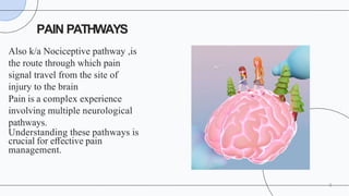 Analgesia: The pharmacology of pain management | PPTX