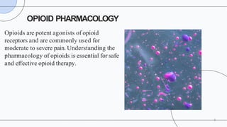Analgesia: The pharmacology of pain management | PPTX