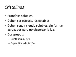 Cristalinas
• Proteínas solubles.
• Deben ser estructuras estables.
• Deben seguir siendo solubles, sin formar
agregados para no dispersar la luz.
• Dos grupos:
– Cristalina α, β, y.
– Específicas de taxón.
 