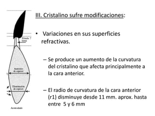 III. Cristalino sufre modificaciones:
• Variaciones en sus superficies
refractivas.
– Se produce un aumento de la curvatura
del cristalino que afecta principalmente a
la cara anterior.
– El radio de curvatura de la cara anterior
(r1) disminuye desde 11 mm. aprox. hasta
entre 5 y 6 mm
 