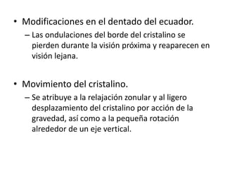 • Modificaciones en el dentado del ecuador.
– Las ondulaciones del borde del cristalino se
pierden durante la visión próxima y reaparecen en
visión lejana.
• Movimiento del cristalino.
– Se atribuye a la relajación zonular y al ligero
desplazamiento del cristalino por acción de la
gravedad, así como a la pequeña rotación
alrededor de un eje vertical.
 