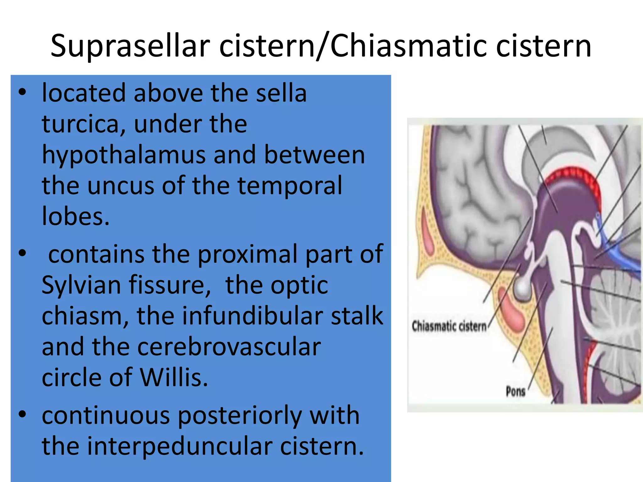 Suprasellar cistern/Chiasmatic cistern
• located above the sella
turcica, under the
hypothalamus and between
the uncus of the temporal
lobes.
• contains the proximal part of
Sylvian fissure, the optic
chiasm, the infundibular stalk
and the cerebrovascular
circle of Willis.
• continuous posteriorly with
the interpeduncular cistern.
 