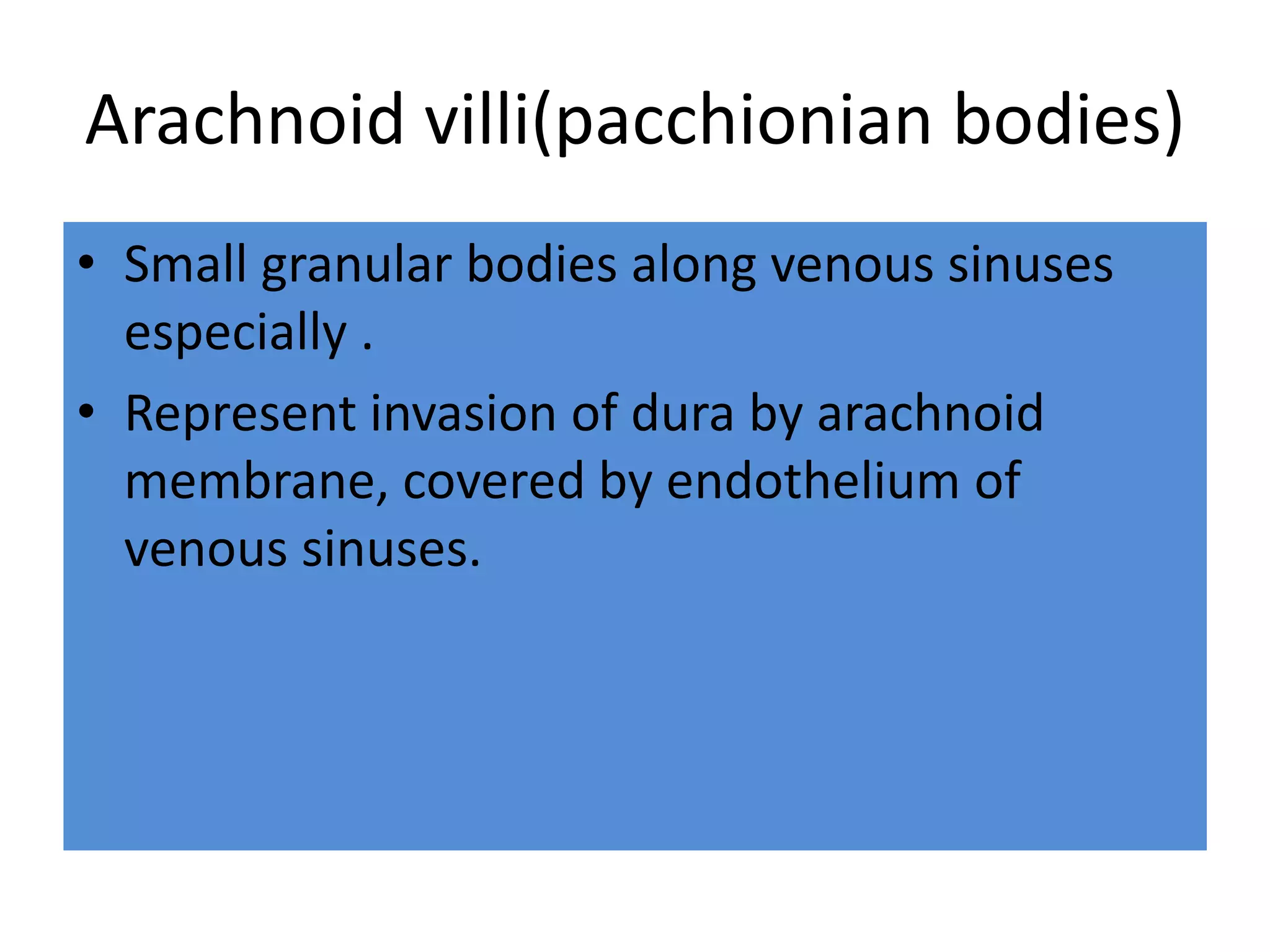Arachnoid villi(pacchionian bodies)
• Small granular bodies along venous sinuses
especially .
• Represent invasion of dura by arachnoid
membrane, covered by endothelium of
venous sinuses.
 