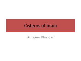 Cisterns of brain
Dr.Rajeev Bhandari
 
