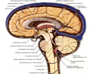Cisterns 19 4 dr. chandra