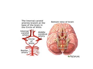 Cisterns 19 4 dr. chandra