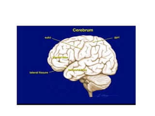 Cisterns 19 4 dr. chandra