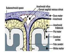 Cisterns 19 4 dr. chandra