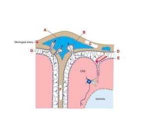 Cisterns 19 4 dr. chandra