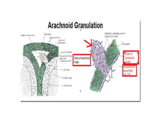 Cisterns 19 4 dr. chandra