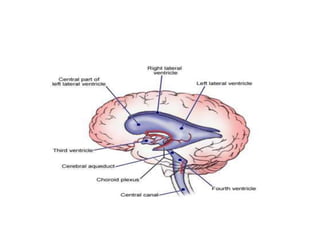 Cisterns 19 4 dr. chandra