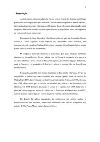 2
1 Introdução
A cisticercose suína causada pela Taenia solium é uma das doenças zoonóticas
parasitárias mais importantes para humanos e suínos em muitos países da América Latina,
representando um dos mais relevantes problemas ao desenvolvimento da produção suína
em países do terceiro mundo, afetando especialmente as populações rurais sob os pontos
de vista econômico e nutricional.
Pertencente à classe Cestoda e à família taenidae, na qual são destacadas Taenia
solium e Taenia saginata. Essas espécies são conhecidas como solitárias, são
responsáveis pelo complexo Teníase/Cisticercose, causando alterações patológicas na sua
forma adulta e lavares nos hospedeiros.
O complexo Teníase/Cisticercose é constituído por duas entidades mórbidas
distintas em fases diferentes do seu ciclo de vida. A Teníase é provocada pela presença
da forma adulta da Taenia solium ou da Taenia saginata, no intestino delgado do homem,
onde o homem é o hospedeiro definitivo e suínos e bovinos são os hospedeiros
intermediários.
Essas patologias têm dois nomes diferentes na fase adulta e larvária, devido na
antiguidade se pensar que eram causadas pela mesma espécie. Com os estudos de
Malpighi em 1697, descobriu que a cisticercose, era um verme. Werne, em 1786,e Goeze,
em 1789, observaram que as formas encontradas nos suínos e nos humanos eram
idênticas. Em 1758, Linnaeus descreveu T. solium e T. saginata. Em 1800, Zeder cria o
gênero Cysticercus para o agente da cisticercose e, finalmente Küchenmeister, em 1885,
demonstrou que o cisticerco dos suínos originava o verme adulto nos humanos.
No Brasil, há relatos prevalentes de cisticercose em suínos, teníase e
neurocisticercose em humanos, sendo esta encontrada com elevada frequência nos
estados de São Paulo, Minas Gerais, Paraná e Goiás.
 