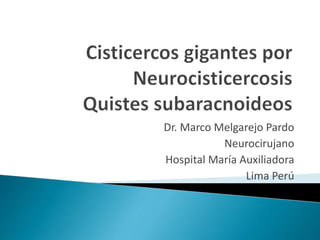 Dr. Marco Melgarejo Pardo
Neurocirujano
Hospital María Auxiliadora
Lima Perú
 