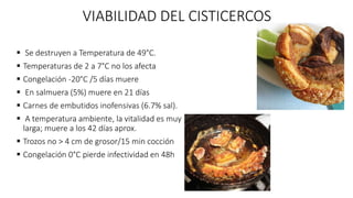 VIABILIDAD DEL CISTICERCOS
 Se destruyen a Temperatura de 49°C.
 Temperaturas de 2 a 7°C no los afecta
 Congelación -20°C /5 días muere
 En salmuera (5%) muere en 21 días
 Carnes de embutidos inofensivas (6.7% sal).
 A temperatura ambiente, la vitalidad es muy
larga; muere a los 42 días aprox.
 Trozos no > 4 cm de grosor/15 min cocción
 Congelación 0°C pierde infectividad en 48h
 