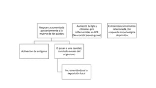Respuesta aumentada
posteriormente a la
muerte de los quistes
Activación de antígeno
O pasan a una cavidad,
conducto o vaso del
organismo
Incrementándose la
exposición local
Aumento de IgG y
citosinas pro
inflamatorias en LCR
(Neurocisticercosis grave)
Cisticercosis sintomática
relacionada con
respuesta inmunológica
deprimida
 