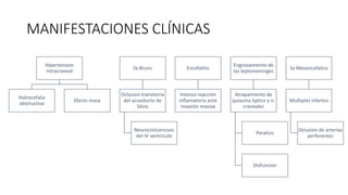 MANIFESTACIONES CLÍNICAS
Hipertension
intracraneal
Hidrocefalia
obstructiva
Efecto masa
Sx Bruns
Oclusion transitoria
del acueducto de
Silvio
Neurocisticercosis
del IV ventriculo
Encefalitis
Intensa reacción
inflamatoria ante
invasión masiva
Engrosamiento de
las leptomeninges
Atrapamiento de
quiasma óptico y n.
craneales
Paralisis
Disfuncion
Sx Mesencefalico
Multiples infartos
Oclusion de arterias
perforantes
 