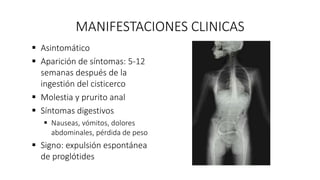 MANIFESTACIONES CLINICAS
 Asintomático
 Aparición de síntomas: 5-12
semanas después de la
ingestión del cisticerco
 Molestia y prurito anal
 Síntomas digestivos
 Nauseas, vómitos, dolores
abdominales, pérdida de peso
 Signo: expulsión espontánea
de proglótides
 