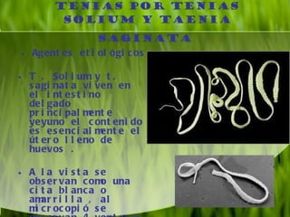 Cisticercosis parasitosis intestinal