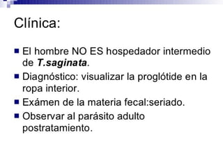 Cisticercosis parasitosis intestinal