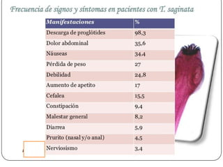 Cisticercosis parasitosis intestinal
