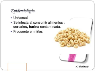 Cisticercosis parasitosis intestinal
